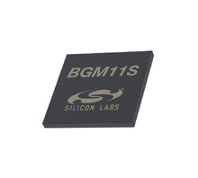 BGM11S12F256GA-V2-afbeelding